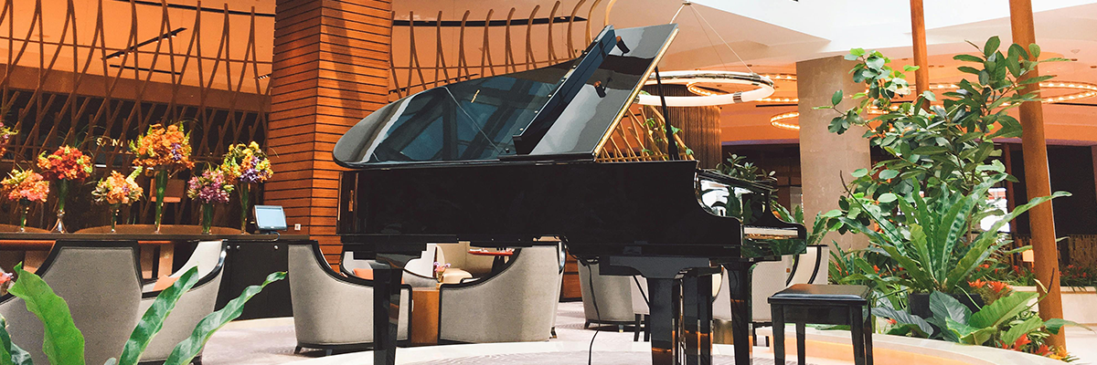 Our Piano Collection 4